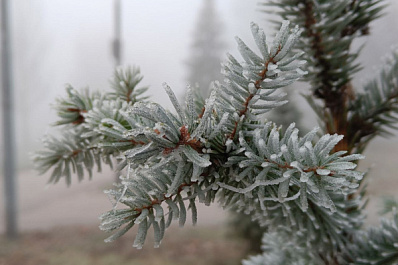 В Самарской области на День Победы может пойти снег