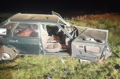  Двое пострадали: в Самарской области водитель "девятки" слетел с дороги
