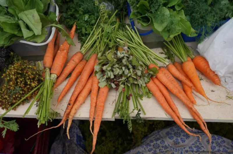 Эксперты: морковь полезна для всего организма