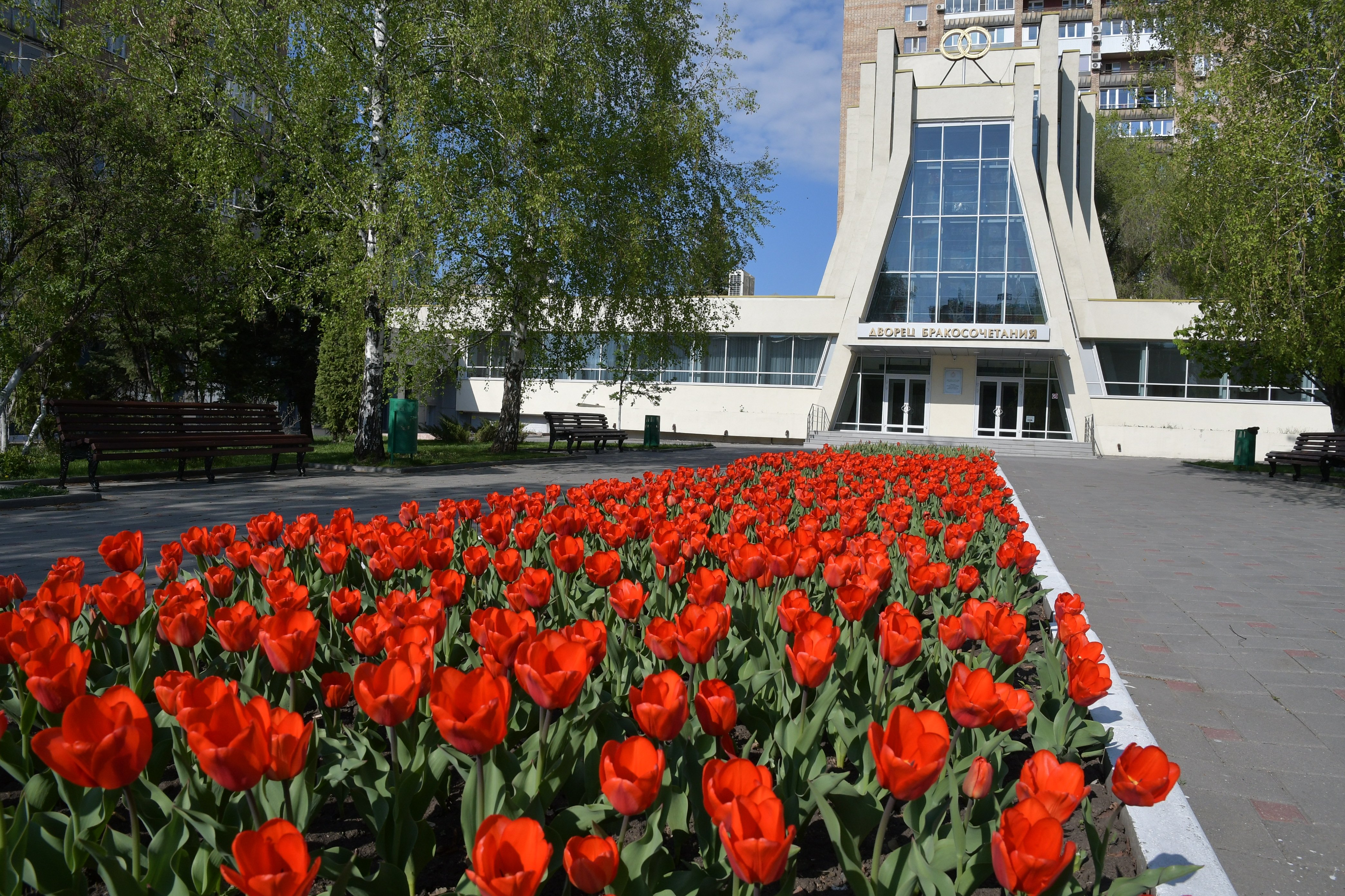 Можно самара. Наба Самара. Крылатый Самара. Паниковский дом культуры и досуга Липецкая область. Прогулка по Самаре.