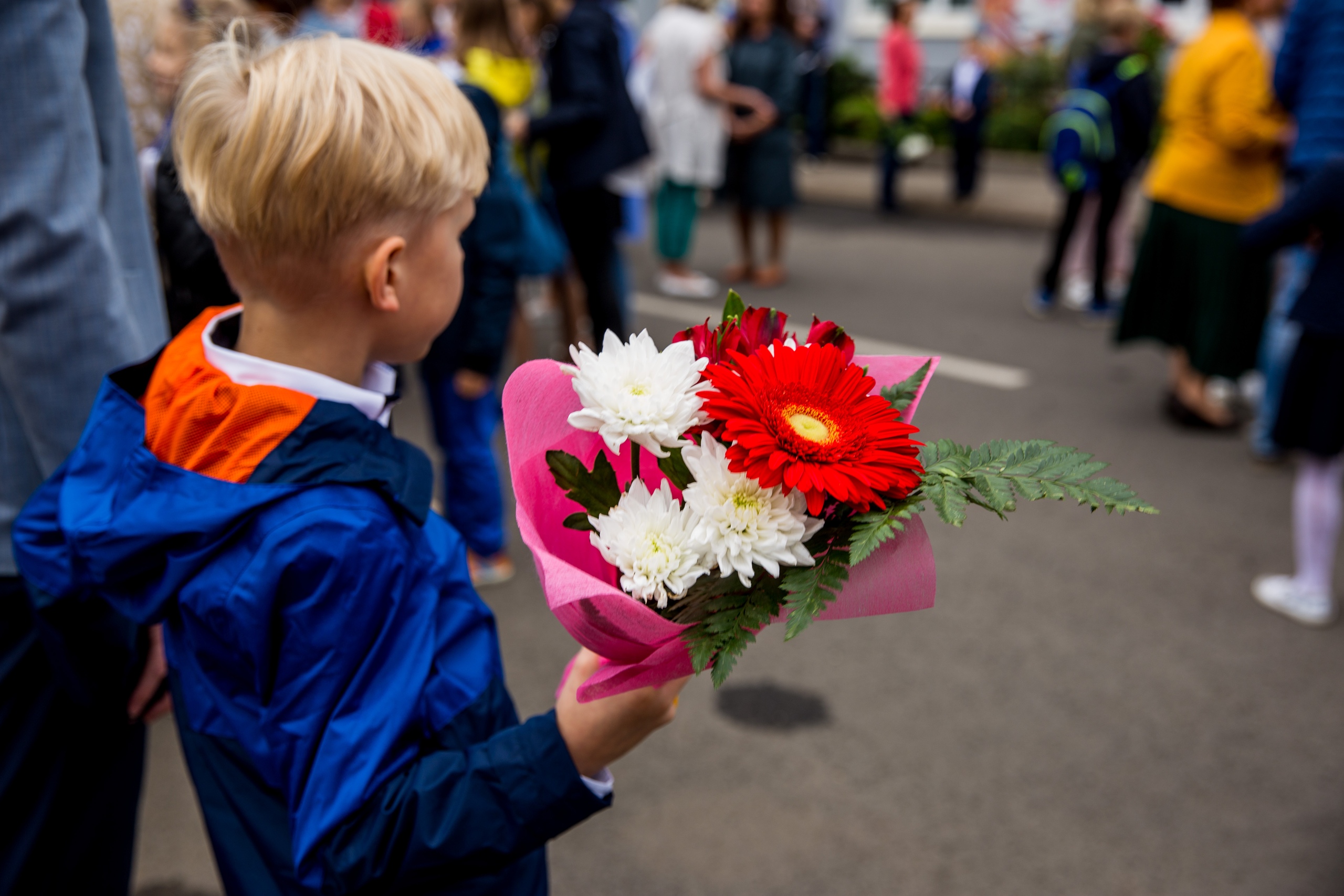 День знаний фото картинки