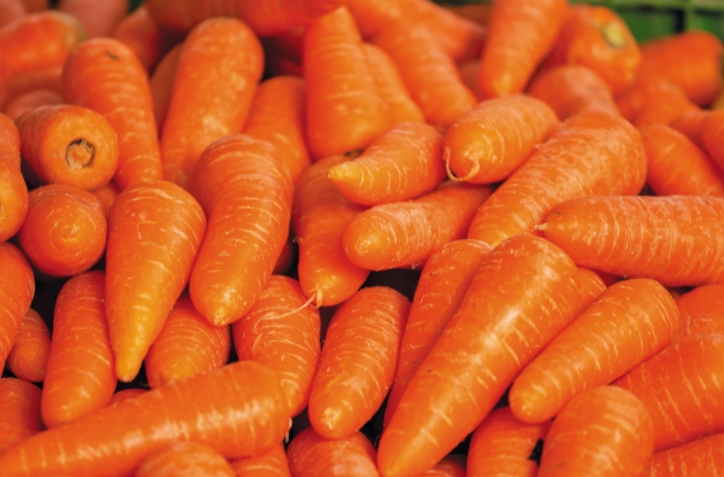 Что происходит с морковью: названы сроки снижения цены на корнеплод