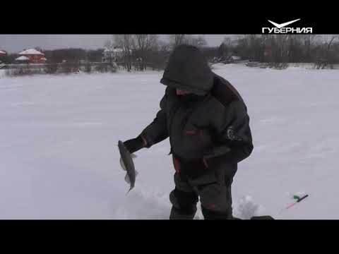 Ловля судака зимой. Рыбацкое счастье