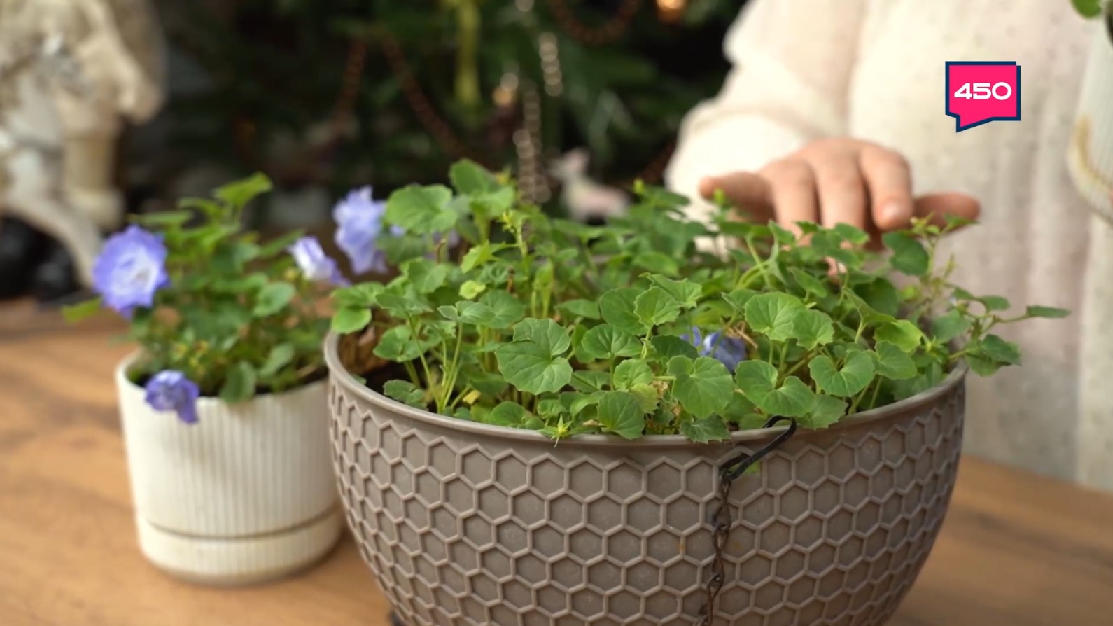 Название статьи