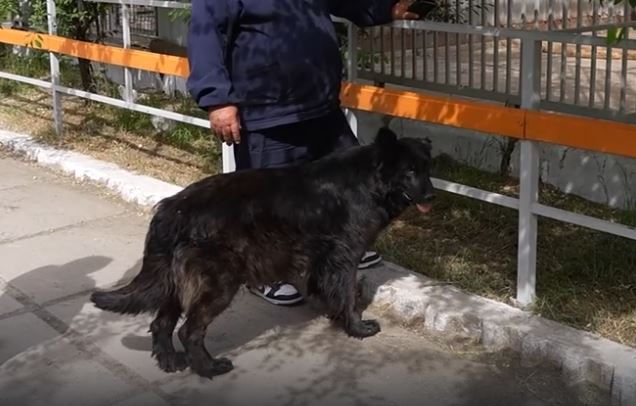 Героиня фильма телеканала "Губерния" номинирована на международную премию