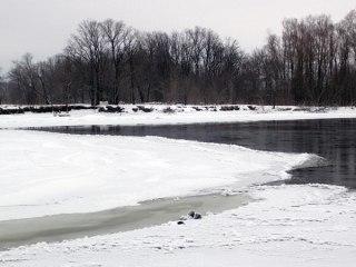 На Волге напротив Змеиного озера рыбак попал в промоину и вмерз в лёд
