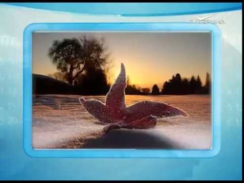 Календарь губернии 01.12.2016