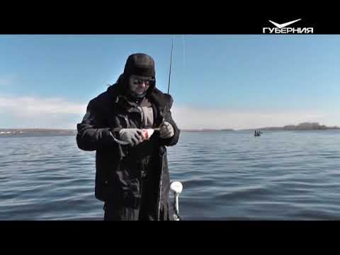 Ловля судака. Рыбацкое счастье