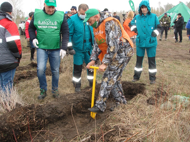 В Тольятти посадили новый участок Леса Памяти