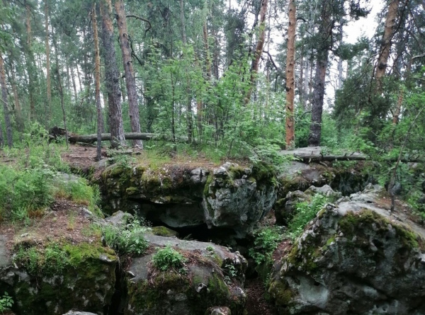 Карта оопт самарской области