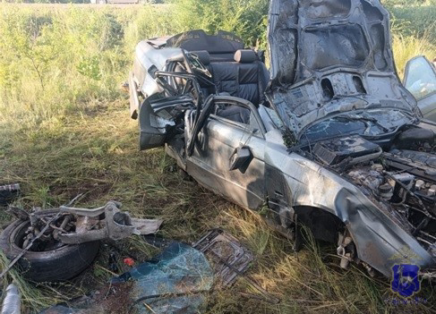 В Самарской области на трассе в ДТП погибли 2 пассажира BMW