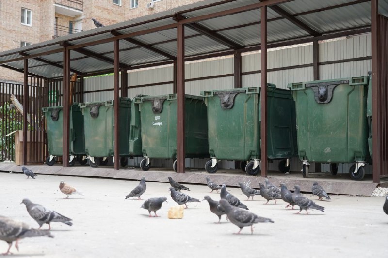 В Самаре на улицу Красноармейскую вернут знак о запрете парковки у контейнеров