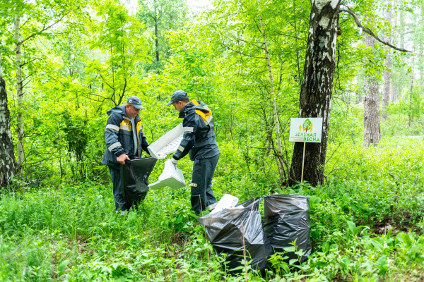 Самарская область присоединились к Всероссийской экоакции "Зеленая весна"