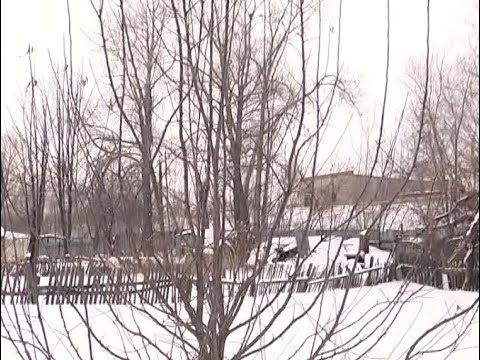 Весенняя обрезка деревьев. Удачные заметки