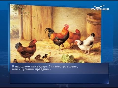 Куриный праздник. Календарь губернии от 15 января