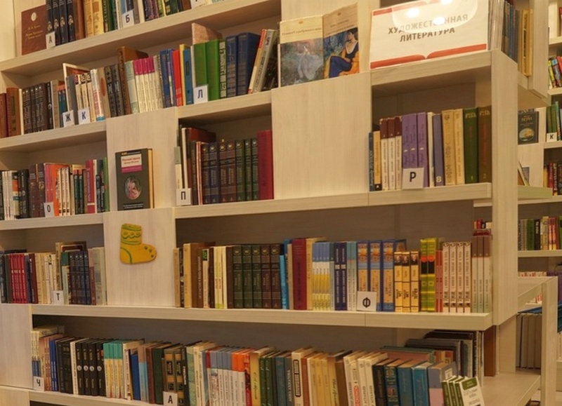 Жители Кинельского района знакомятся с книжными новинками благодаря "Библиобусу" 