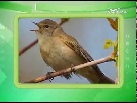 Календарь губернии 09.03.2017