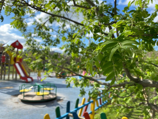 В Самарской области ежегодно благоустраивают более 300 общественных пространств