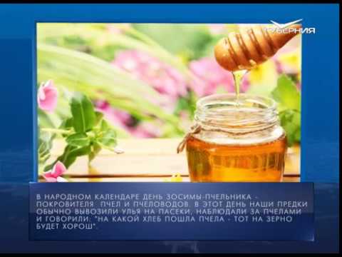 Календарь губернии от 30.04.2018