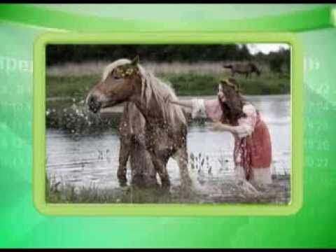 Календарь губернии 31.08.2013 