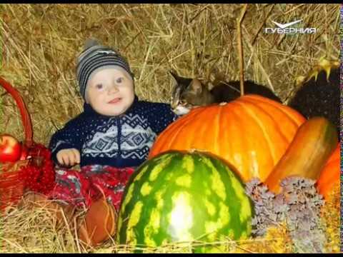 Готовим виноградник к зимовке и подводим итоги "Удачного кадра". Удачные заметки от 30.10.2018