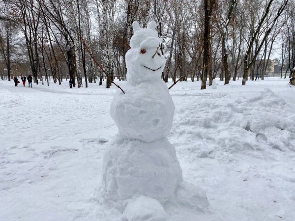 В Самарской области 31 января потеплеет до 0 градусов