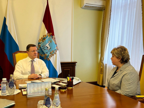 Дмитрий Азаров и Виктория Кузнецова обсудили развитие Сызранского района
