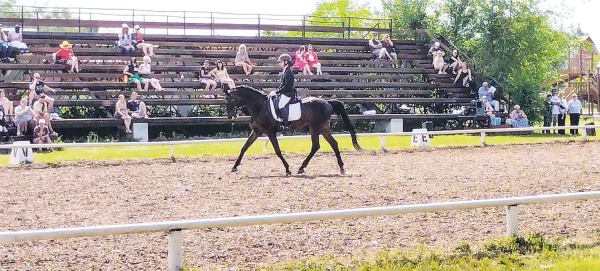 В Тольятти состоялся чемпионат региона по конному спорту