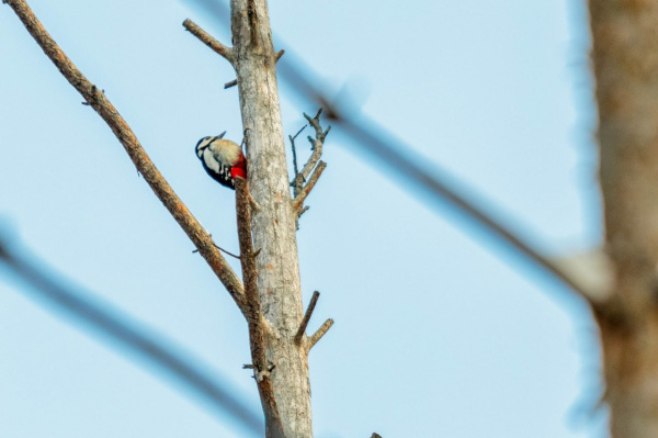 Народные приметы на 17 февраля 2025 года: что нельзя делать в этот день