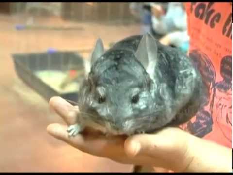 Азбука потребителя 29.04.2014