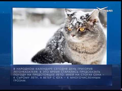 Календарь губернии от 23.01.2018