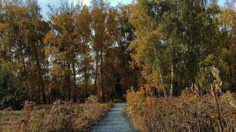 В Самарской области 27 октября будет небольшой дождь и туман