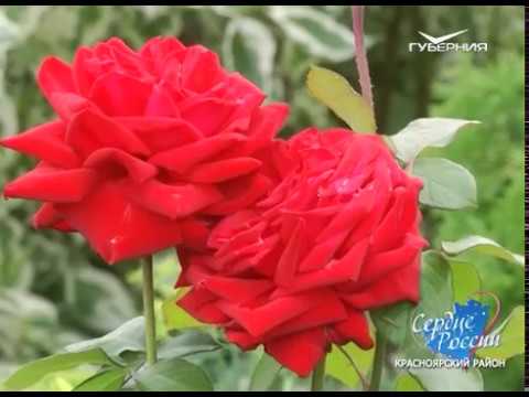 Сердце России. Красноярский район (Часть III)