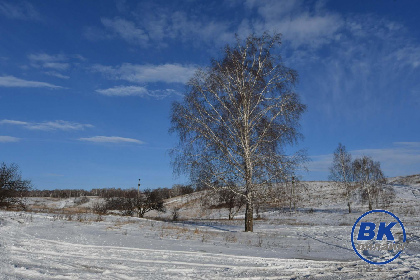 26 декабря в истории и архиве "ВК"