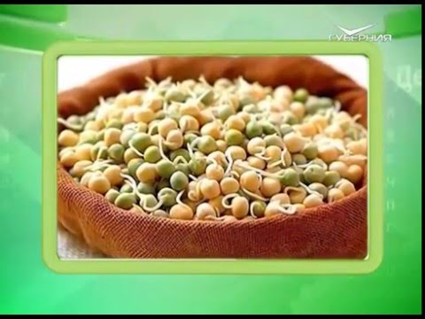 Календарь губернии 19.05.2016