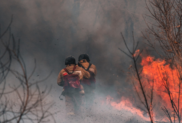 В Самарской области до 20 июня объявили желтый уровень опасности из-за угрозы лесных пожаров