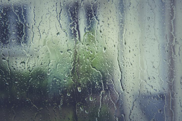 Дожди задержатся надолго: синоптики рассказали о погоде в Самарской области на ближайшие дни