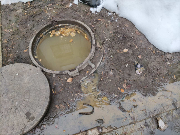 В Самаре неизвестный выбросил в канализацию резиновую женщину и диван