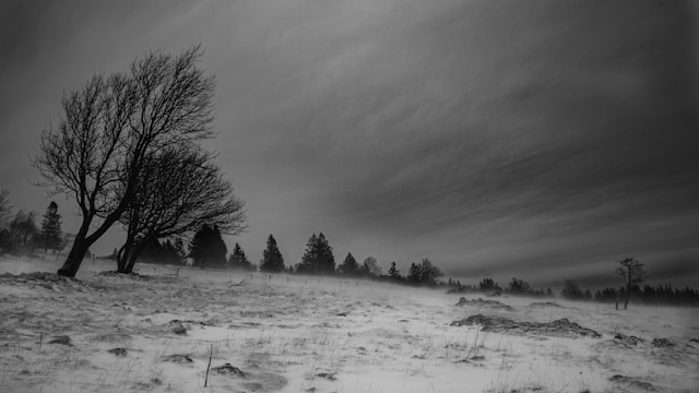 В Самарской области 4 марта ожидается штормовой ветер