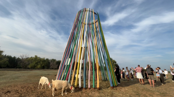 На Проране провели антропологическое и архивное исследование