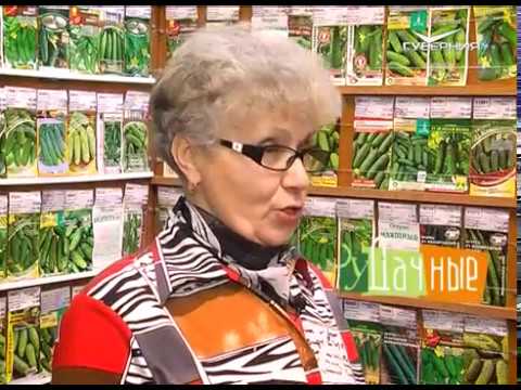 Удачные заметки 07.03.2017. Весенняя обрезка деревьев. Цветочная рассада. Дачные советы