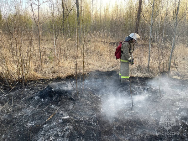 Режим чрезвычайной пожарной опасности лесов в Самарской области продлили до 29 мая