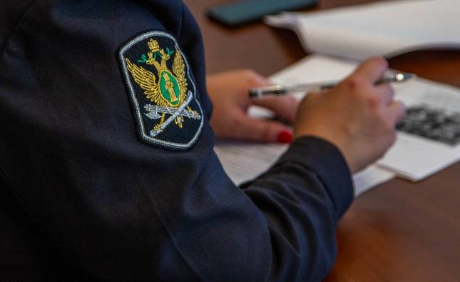 Тольяттинка 21 раз нарушила ПДД и едва не осталась без "Тойоты"