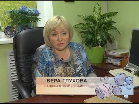 Территория сильных. Вера Глухова 
