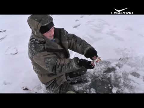 Ловим окуня. Рыбацкое счастье