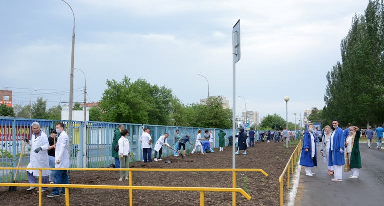 В Тольятти медики высадили 106 молодых лип