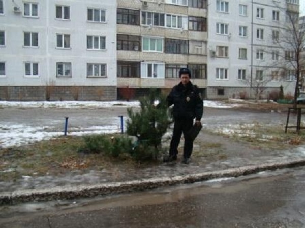 Житель Новокуйбышевска спилил на праздник сосну, растущую у подъезда