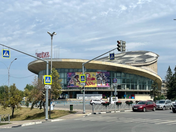 Самарцев приглашают посмотреть на кормление и купание слонов