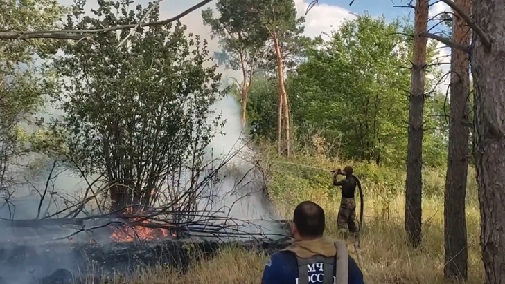 В Самарской области под Тольятти идет борьба с крупным лесным пожаром
