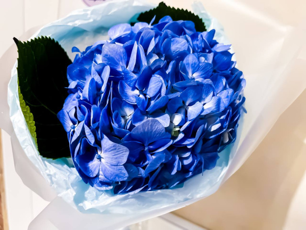 Любовный гороскоп на 16 декабря 2024 года: что обещают астрологи